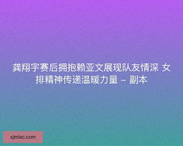 龚翔宇赛后拥抱赖亚文展现队友情深 女排精神传递温暖力量 - 副本