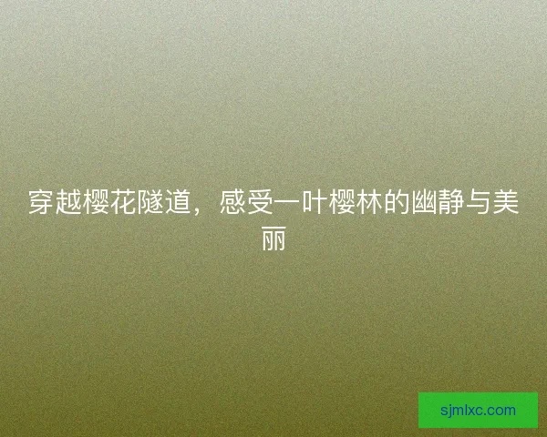 穿越樱花隧道，感受一叶樱林的幽静与美丽