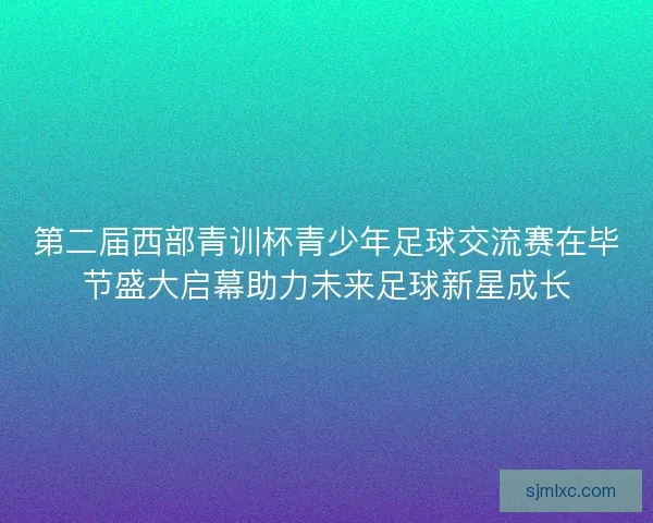 第二届西部青训杯青少年足球交流赛在毕节盛大启幕助力未来足球新星成长