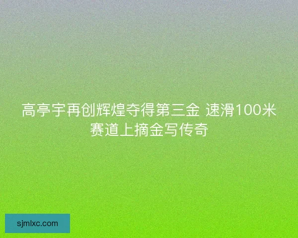 高亭宇再创辉煌夺得第三金 速滑100米赛道上摘金写传奇