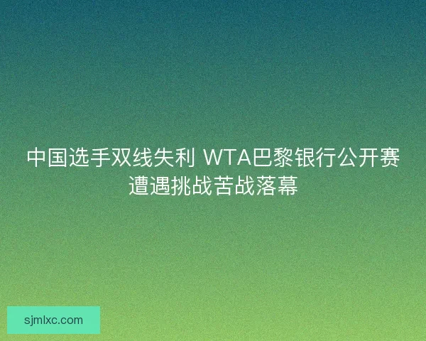 中国选手双线失利 WTA巴黎银行公开赛遭遇挑战苦战落幕