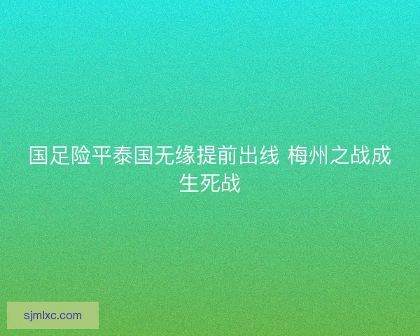 国足险平泰国无缘提前出线 梅州之战成生死战
